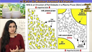 Is Matter Around Us Pure  Class 9 Science Chapter 2  Explanation Solutions In English [upl. by Tnomed]