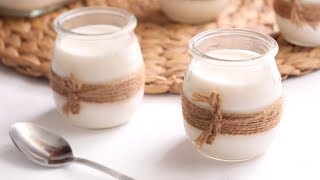 YOGUR NATURAL CASERO sólo con 2 Ingredientes y sin Máquina [upl. by Aneala]