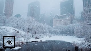 Snowfall in Central Park New York  Walking in Central Park in the Winter Snow [upl. by Repsac]