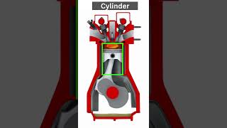 Combustion Chamber amp Cylinder  combustion engine 4strokeengine [upl. by Revned]