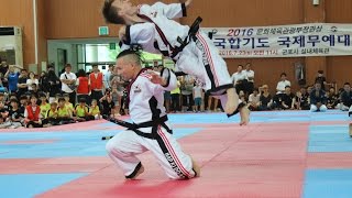 Hapkido Austria 합기도 오스트리아  International Championship Seoul 2016 [upl. by Annav]