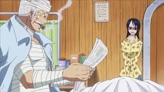 Smokey Learns About Luffy and Laws Victory  One Piece 736 [upl. by Geilich]