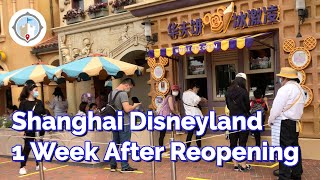 Shanghai Disneyland One Week After Reopening  Whats Changed Already [upl. by Brouwer871]