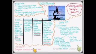 OCR A LEVEL BIOLOGY  UNIT 21 PART 1  MICROSCOPY [upl. by Menard613]