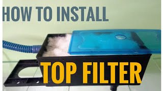 Top Filter Aquarium setup  aquarium fishtank aquariumfilter [upl. by Jonina937]