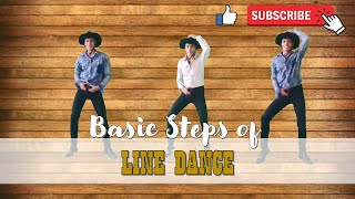 Rodeo Masbateño  Line Dancing  Basic Steps II Mirrored Tutorial [upl. by Uhp]