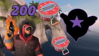 TF2 Unboxing 200 Summer 2021 Cases Wildest Unboxing Ever Insane Luck Many Unusuals [upl. by Einberger]