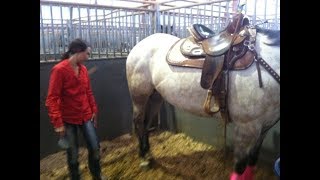 Fastest Barrel Racing Time Ever  World Record [upl. by Deena]