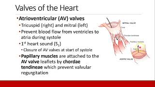 Applied Physiology for Anesthesia  02  CARDIAC  Part 1 [upl. by Ayek]