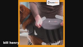 ThunderShirt for Dogs  Dog Calming Jacket  Thunder Shirts for Dogs Medium  Dog Anxiety Jacket [upl. by Edie]