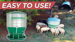 How We Feed 400 Pastured Pigs  Osborne Pig Feeder [upl. by Toffic]