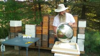 How to Prepare Your Bees for Winter  Candy boards and Preparing your Hive [upl. by Lyrehc267]