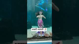 Real Jalpari  असली जलपरी🧜‍♀️  Jalpari video raigarh [upl. by Yatnahs]