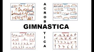 Gimnastica acrobatica  Notiuni teoretice [upl. by Ahsier]