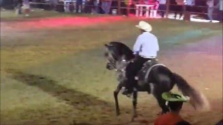 Huanancha en plaza de toros Zirandaro  Calera Guerrero [upl. by Anival]