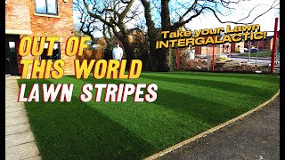 Insane Lawn Stripes Using Simple Products  Applying Weedol before Renovation Season [upl. by Krischer]