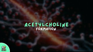 Acetyl choline  synthesis amp release  Simple amp Easy Explanation 🚀 [upl. by Nairdad]