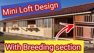 Loft Design for Racing Pigeons  Racing Pigeons [upl. by Ycniuq837]