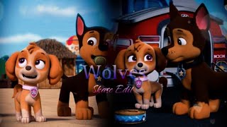 Paw Patrol Wolves Skase Edit💙🩷🐾 [upl. by Anerual]