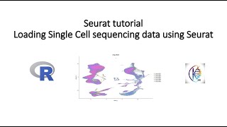 Seurat tutorial Loading Single Cell sequencing data using Seurat [upl. by Aeki]