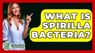 What Is Spirilla Bacteria  Biology For Everyone [upl. by Hyrup]