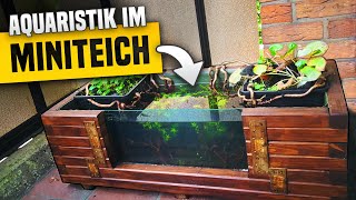 Selbstgebauter MiniTeich mit Scheibe für die Outdooraquaristik [upl. by Bottali]