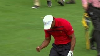 Tiger Woods incredible approach at The Presidents Cup 2013 [upl. by Dorwin]