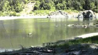 Klamath River Steelhead Adventure [upl. by Linker775]