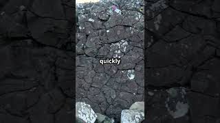 Igneous vs Metamorphic Rocks Whats the Difference [upl. by Trembly]