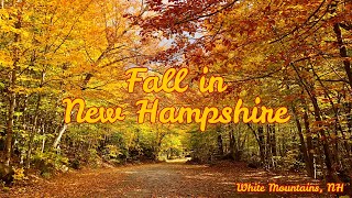 New Hampshire Fall Foliage in the White Mountains [upl. by Kursh84]