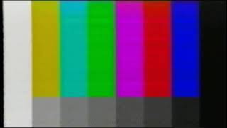 VHS Color Bars test card screen with damage [upl. by Einahpets]