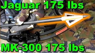 🎯 MAN KUNG MK300 vs JAGUAR 175 lbs  Capacete  Broadhead [upl. by Sigismund]