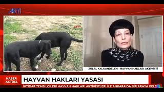 Hayvan hakları yasası nerede [upl. by Taite]