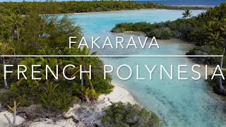 South Pacific Coral reef “Fakarava French Polynesia Scuba diving Paradise” [upl. by Welsh755]