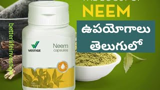 Vestige Neem capsules Benefits ampUsage in Telugu  Diabetes treatment [upl. by Lemrej]