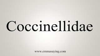 How To Say Coccinellidae [upl. by Nomzed]