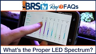 Reef tank lighting schedule  What is the ideal spectrum program for your LED lights  Reef FAQs [upl. by Siseneg164]