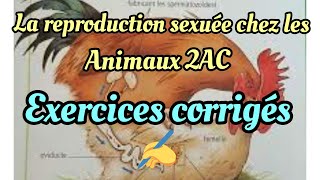 Exercices corrigés de la reproduction sexuée chez les animaux 2AC [upl. by Stephana]