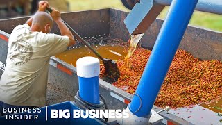 How Millions Of Pounds Of Coffee Are Processed At Hawaiian Coffee Farms  Big Business [upl. by Chaves70]