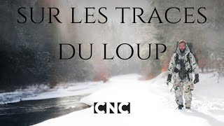 SUR LES TRACES DU LOUP  Le film [upl. by Naynek]