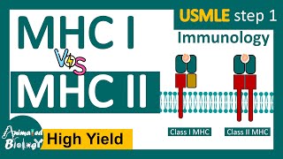 MHC class I vs Class II  USMLE step 1 revision  Immunology [upl. by Durarte]