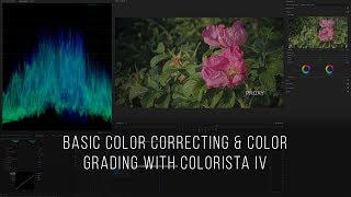 Tutorial How To Color Correct amp Color Grade Using Colorista IV on Canon 5D Mark IV 4K Footage [upl. by Ecyle]