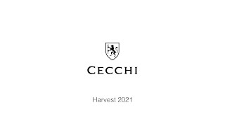 Cecchi  Chianti Classico Harvest 2021 [upl. by Cesya]