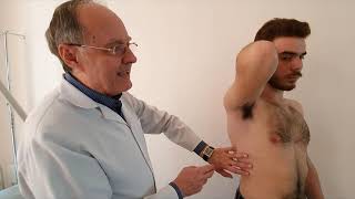 OSCE1 LungsComparative percussionDetermination of the mobility of the lower edge Auscultation [upl. by Joceline]