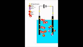 Electrolysis animation ZnBr2 [upl. by Novonod]