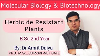 Herbicide Resistant Plants खरपतवारनाशी रोधी पादपHindi amp English BSc By DrAmrit Daiya [upl. by Pronty]