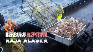 PERBURUAN DAN PENANGKAPAN KING CRAB KEPITING RAJA ALASKA [upl. by Mitinger780]