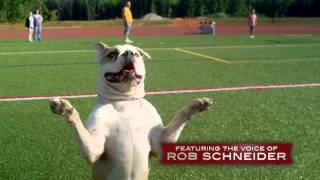 PUPS UNITED Official Trailer 2015  Rob Schneider [upl. by Hailey]