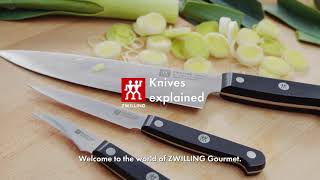 ZWILLING Knife Explained [upl. by Alokin]