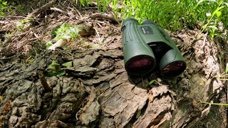 WD Field Review  Vortex Optics FURY HD 5000AB [upl. by Mordy838]